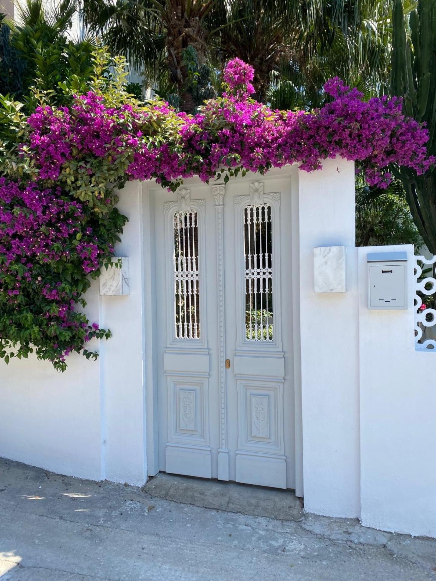 Aparthotel Manolis' House Skiathos-Stadt Exterior foto