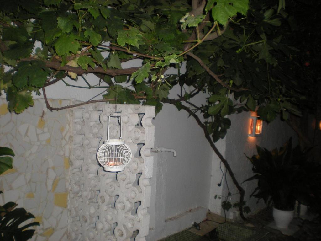 Aparthotel Manolis' House Skiathos-Stadt Exterior foto