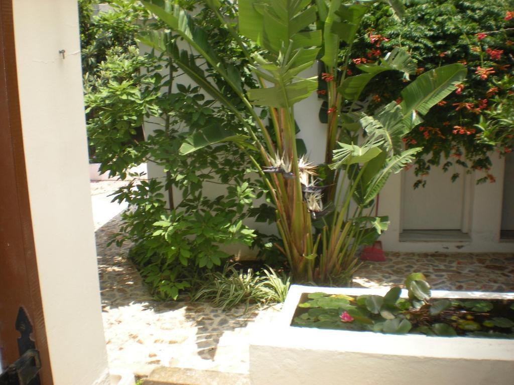Aparthotel Manolis' House Skiathos-Stadt Zimmer foto