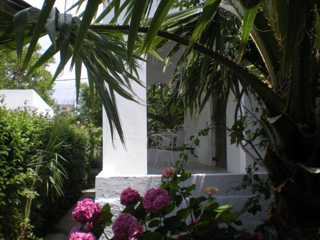 Aparthotel Manolis' House Skiathos-Stadt Zimmer foto