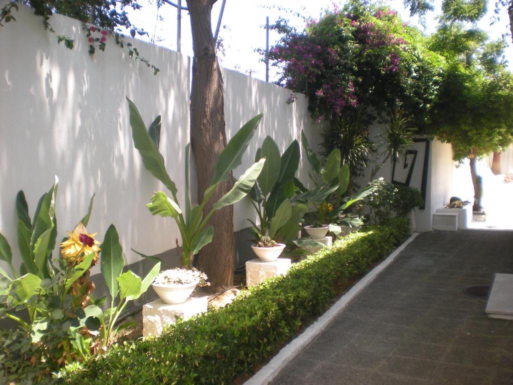 Aparthotel Manolis' House Skiathos-Stadt Exterior foto