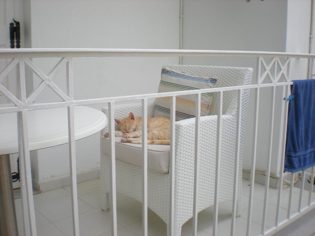 Aparthotel Manolis' House Skiathos-Stadt Zimmer foto