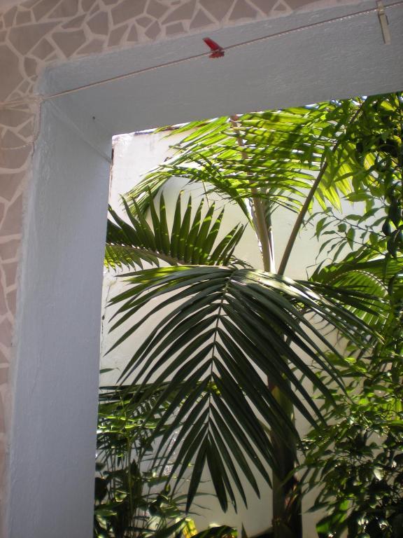 Aparthotel Manolis' House Skiathos-Stadt Exterior foto