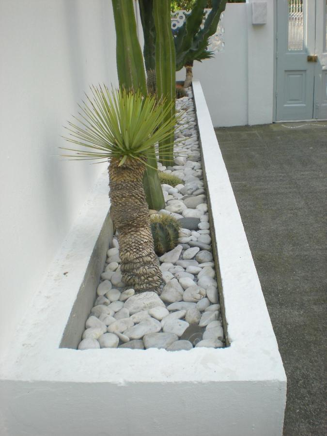 Aparthotel Manolis' House Skiathos-Stadt Exterior foto